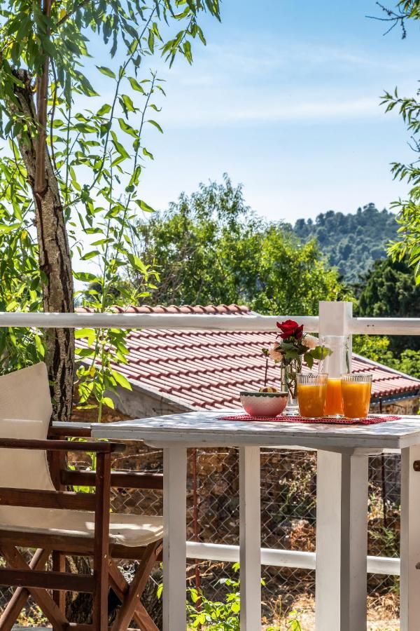 Hébergement de vacances Amigdalia *